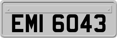 EMI6043