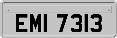 EMI7313