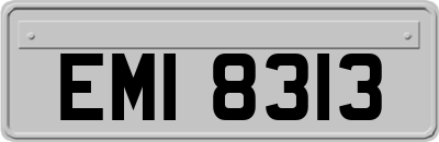 EMI8313