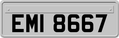 EMI8667