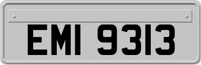 EMI9313