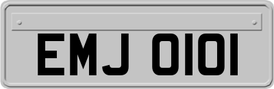 EMJ0101