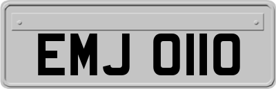 EMJ0110