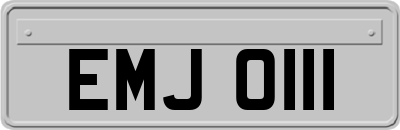 EMJ0111
