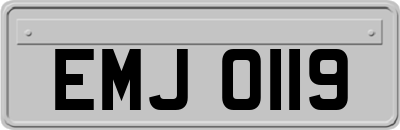 EMJ0119