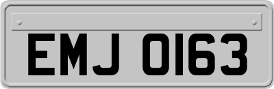 EMJ0163
