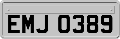 EMJ0389