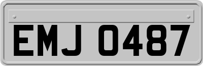 EMJ0487