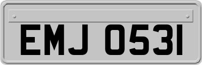 EMJ0531