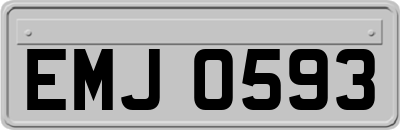 EMJ0593