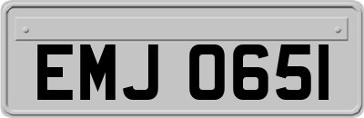 EMJ0651