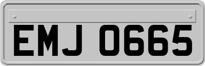 EMJ0665