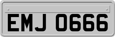 EMJ0666