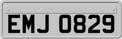 EMJ0829