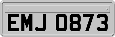 EMJ0873