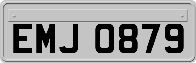 EMJ0879