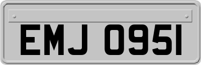 EMJ0951