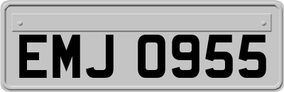EMJ0955