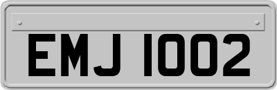 EMJ1002