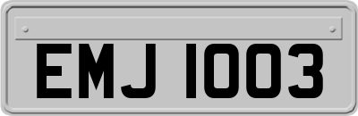 EMJ1003