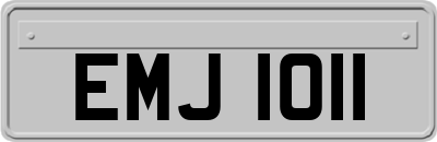 EMJ1011