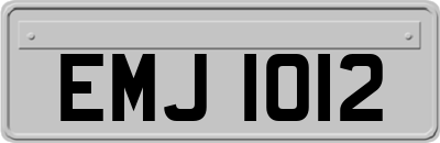 EMJ1012