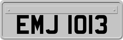 EMJ1013