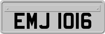 EMJ1016