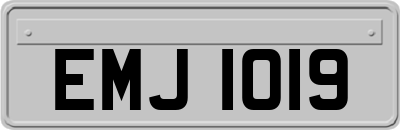 EMJ1019
