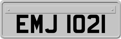 EMJ1021
