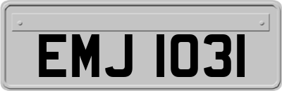 EMJ1031