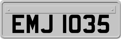 EMJ1035