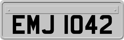 EMJ1042