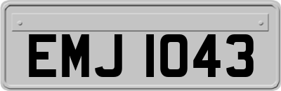 EMJ1043