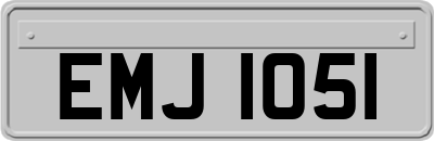 EMJ1051