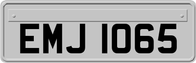 EMJ1065