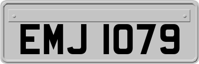 EMJ1079