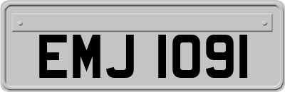 EMJ1091