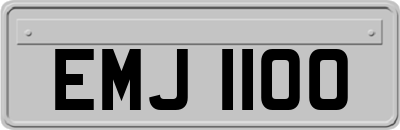 EMJ1100