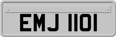 EMJ1101