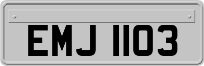 EMJ1103