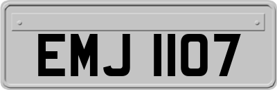 EMJ1107