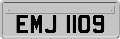 EMJ1109