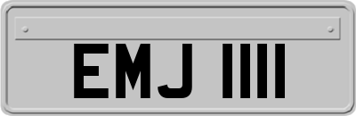 EMJ1111