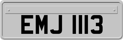 EMJ1113