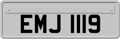EMJ1119