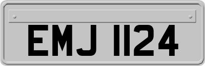 EMJ1124