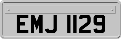 EMJ1129