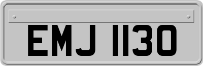 EMJ1130