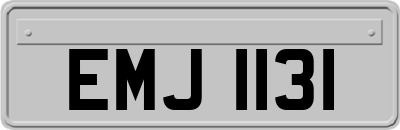 EMJ1131